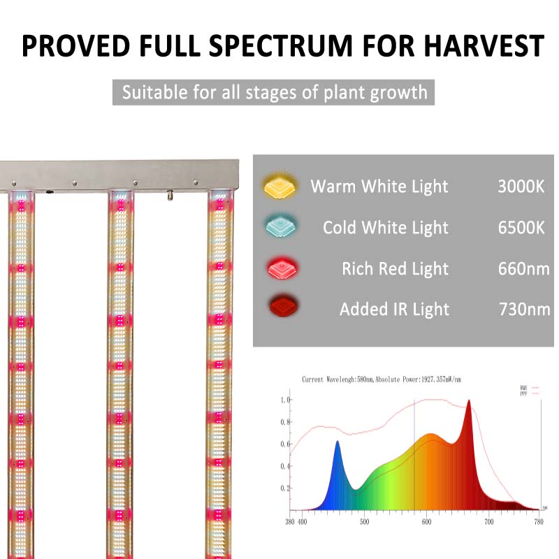 ドイツ在庫、即日発送可能 Samsung LM301h 30 - Grow Tent 4X4 のレビューと価格