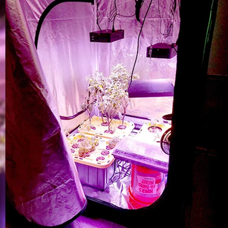 新型トレンド グロウテント 4x4 室内栽培用 ガーデン植物 - Grow Tent 4X4 のレビューと価格